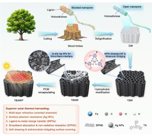 Prinzipienskizze: So speichern die Forscher Sonnenenergie (Bild: Advanced Energy Materials 2026)