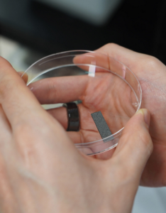 Innovative Elektrode mit einer Beschichtung aus Biomüll (Foto: nus.edu.sg)