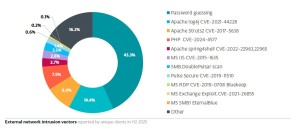 ESET-Grafik zu Passwörtern (Bild: ESET)