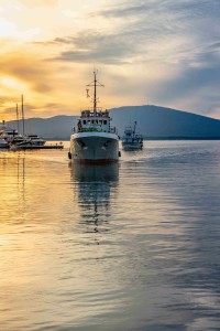 Hafen: Milliardenschäden durch umstrittene Fischereipraxis (Foto: Christo Anestev, pixabay.com)