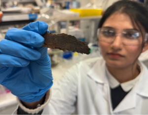Pallavi Saini mit Rinde, aus der ein wirksames Filtermaterial wird (Foto: Will Wright, rmit.edu.au)