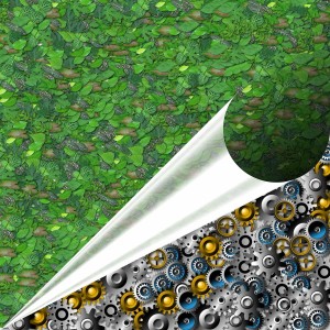 Wirtschaften zulasten der Umwelt: gute Finanzkennzahlen unter der Lupe (Bild: pixabay.com, Maklay62)