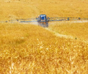 Landwirte können bald umweltfreundlicher düngen (Foto: PublicDomainPictures, pixabay.com)
