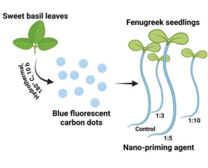 Hydrothermale Vergasung: Kohlenstoff-Nanopunkte wirken (Grafik: Materials Letters, ScienceDirect)