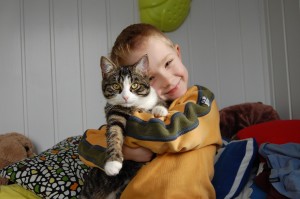 Katzenliebe: auch für Kinder mit Asthma möglich (Foto: pixabay.com, Markus Lehmann)