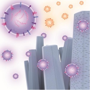 Nanodrähte: Forscher ermöglichen selektive Steuerung (Bild: Kunanon Chattrairat, nagoya-u.ac.jp)