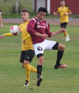Fußball: Spieler aus ehemaligen Kolonien sind entscheidend (Foto: PhotographerPN, pixabay.com)