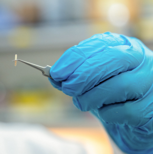 Winziges Inplantat: "SEED" behebt Nervenschäden effektiv (Foto: nyuad.nyu.edu)