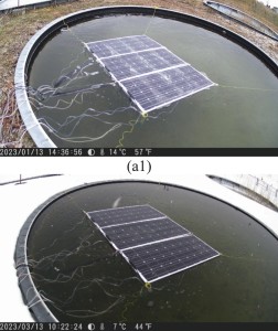 Schwimmende PV-Anlage, die dem Winter trotzt (Bilder: uwo.ca)