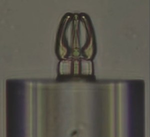 Mini-Greifer: zehnmal kräftiger als eine klassische optische Pinzette (Bild: en.ahut.edu.cn)