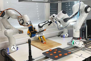 "Sashimi-Bot" rückt dem Fisch mit drei Armen auf den Pelz (Foto: DOI: 10.1038/s44182-026-00098-9)