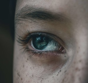 Auge: Sehverlust lässt sich möglicherweise bald stoppen (Foto: Sunrise, pixabay.com)