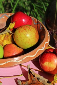 Früchte: Mit Ton bleibt Obst länger frisch (Foto: Werner Weisser, pixabay.com)