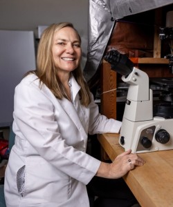 Cristine Heaps: Forscherin hat neuen Wundverband entwickelt (Foto: tamu.edu)