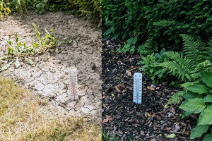 Gartenboden: Temperaturvergleich mit und ohne Schatten (Foto: Pawel Kowalczyk)