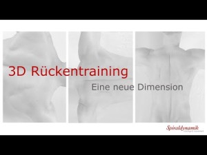 Professionelles 3D-Rückentraining (Bild: Spiraldynamik®)
