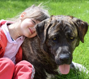 Kontakt zu Hunden schützt Kinder vor Krankheiten (Foto: pixabay.com, Steffen L.)