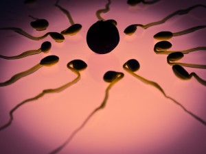 Spermien: Luftverschmutzung wirkt sich auf Fruchtbarkeit aus (Foto: pixabay.com, Thomas Breher)
