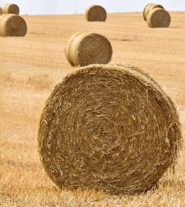 Strohballen: Biomasse wird in der Mikrowelle zu Wasserstoff (Foto: JackieLou DL, pixabay.com)