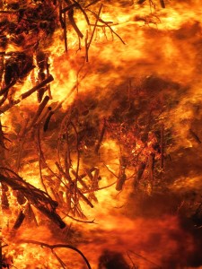 Verheerender Waldbrand: Feinstaubbelastung nimmt zu (Foto: pixabay.com, Kirsten Mang)