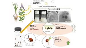 Herstellung und Wirkung des neuen Bio-Insektizids (Bild: Midori Tuda)