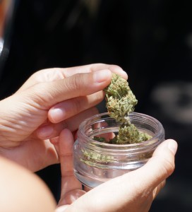 Cannabis beschleunigt den Ausbruch von Psychosen (Foto: Elsa Olofsson, pixabay.com)