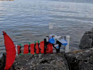 "ScaFi" vor dem Einsatz: Roboter vielseitig anpassbar (Foto: engineering.nyu.edu)