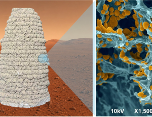 Haus für den Mars und seine innere Struktur (Illustrationen: Ning Liu, hkust.edu.hk)
