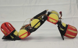 "WorMa": Wasser treibt den neuen Roboter an (Foto: engineering.nyu.edu, Nana Obayashi)