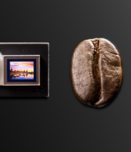 Neues Mikrodisplay im Größenvergleich zu einer Kaffeebohne (Foto: ipms.fraunhofer.de)