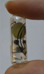 Schluckbare Kapsel mit biologisch abbaubarer Batterie (Foto: MIT)