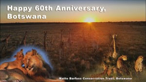 Botswana in my Heart (Bild: Matto Barfuss)