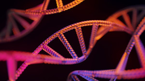 Funktionsweise der Spiralbewegung (Bild: Adobe Stock)