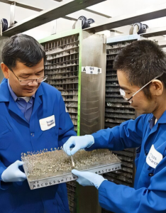 Labor: Naturstoffe, die als Malaria-Killer wirken (Foto: Scott Wiseman, wertheim.scripps.ufl.edu)
