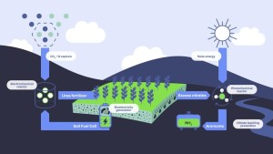 So soll auf dem Acker künftig Dünger produziert werden (Bild: confetiproject.eu)